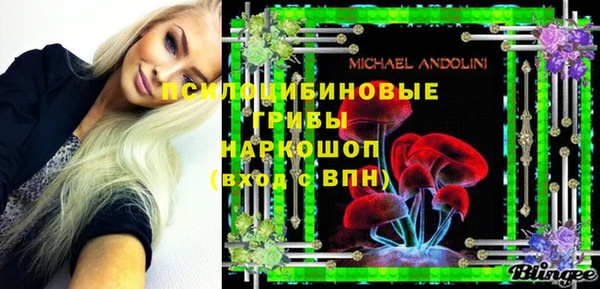 гидропоника Алзамай