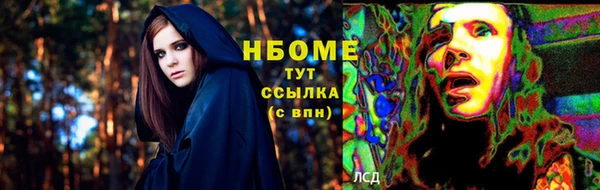гидропоника Алзамай