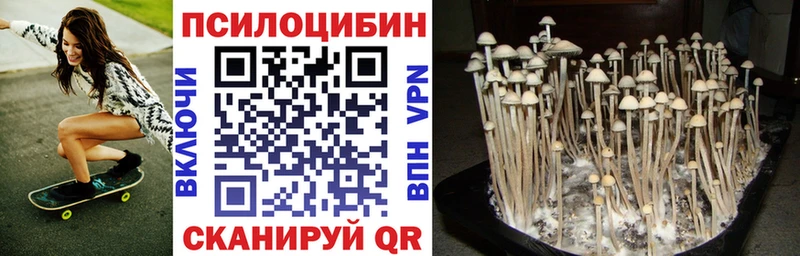 Галлюциногенные грибы мухоморы  наркота  Среднеколымск 